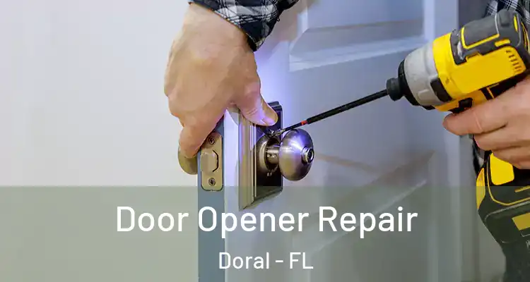  Door Opener Repair Doral - FL