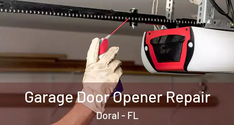 Garage Door Opener Repair Doral - FL