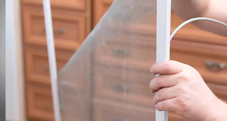 Privacy Mesh Screen Door Installation in Doral, FL