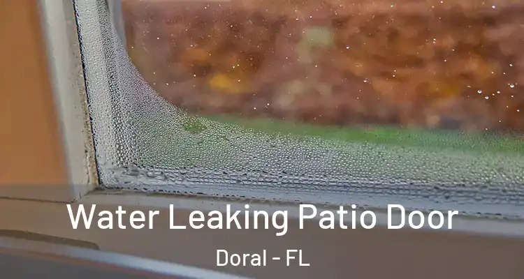  Water Leaking Patio Door Doral - FL